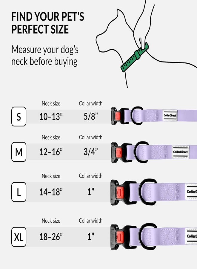 CollarDirect Waterproof Dog Collar - Silicone, Plastic Collar, Odor-Resistant, Easy to Clean, for Large, Medium, Small Dogs - Adjustable Collar with Breakaway Buckle (Neck Fit 12"-16", Lilac) - Image 5