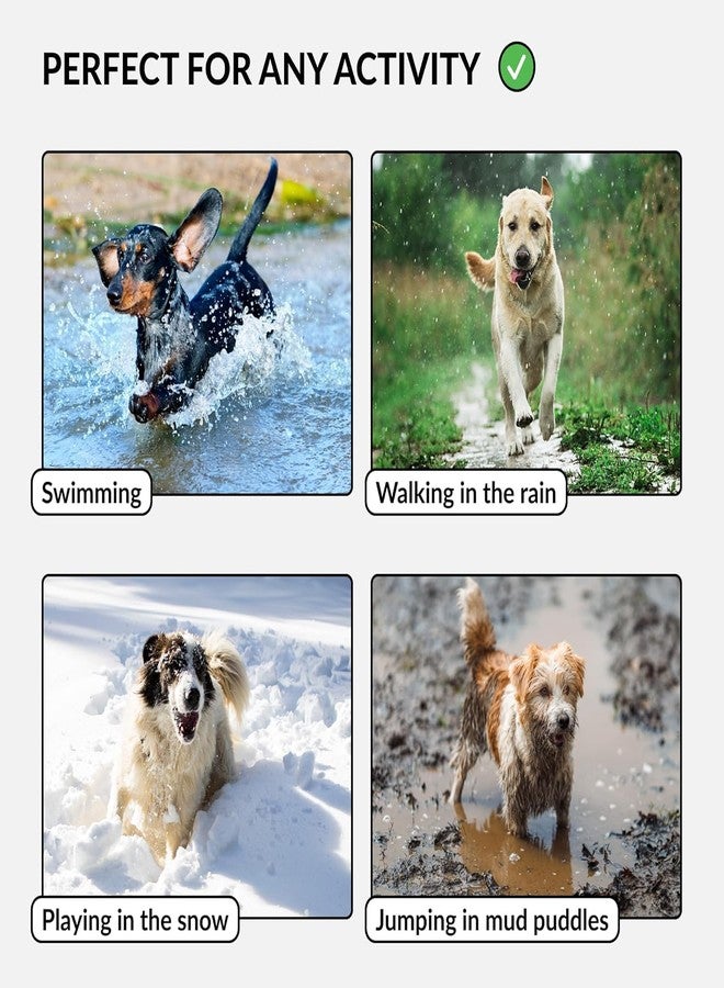 CollarDirect Waterproof Dog Collar - Silicone, Plastic Collar, Odor-Resistant, Easy to Clean, for Large, Medium, Small Dogs - Adjustable Collar with Breakaway Buckle (Neck Fit 12"-16", Lilac) - Image 4