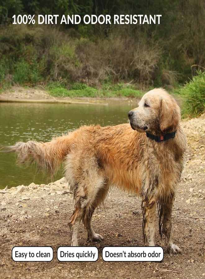 CollarDirect Waterproof Dog Collar - Silicone, Plastic Collar, Odor-Resistant, Easy to Clean, for Large, Medium, Small Dogs - Adjustable Collar with Breakaway Buckle (Neck Fit 12"-16", Lilac) - Image 3