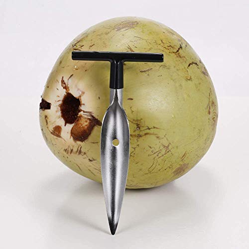 Entraxa Coconut Opener Tool, Coconut Driller, Coconut Opener Machine, Coconut Opener Knife, Coconut Water OpenerStainless Steel Coconut Opener - Image 3