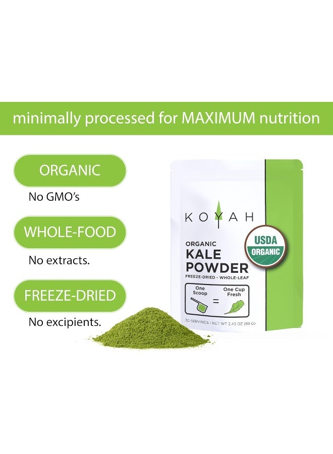 KOYAH Organic Freeze-Dried Kale Powder - Image 4