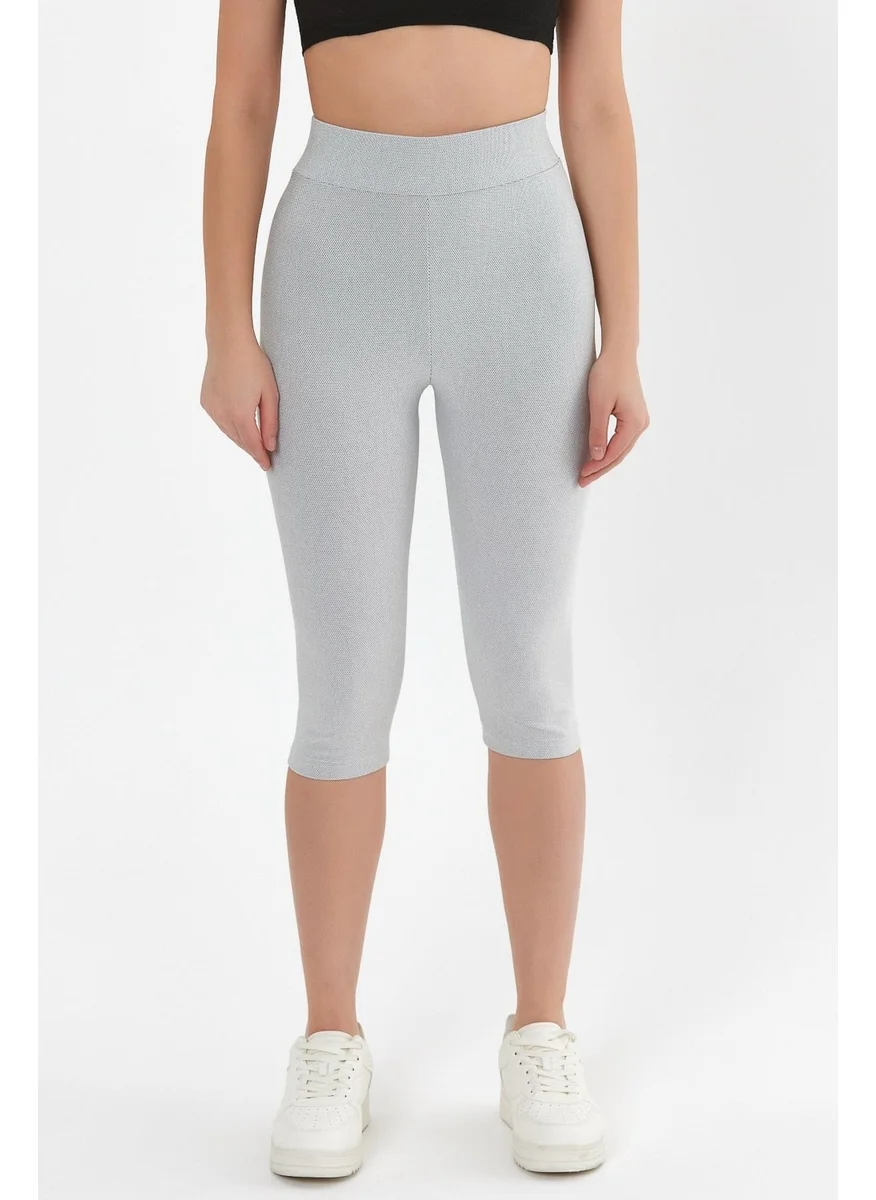 Alexander Gardi High Waist Capri Leggings (B23-005300)