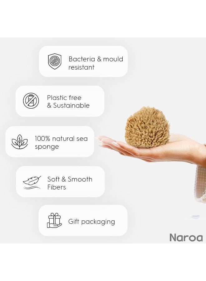 NAROA Natural Baby Bath Sponge in Gift Box | Premium Soft Wool Sea Sponge for Babies | Newborn Bath Time Essentials | Sustainable & Plastic Free (1 Pack) - Image 3