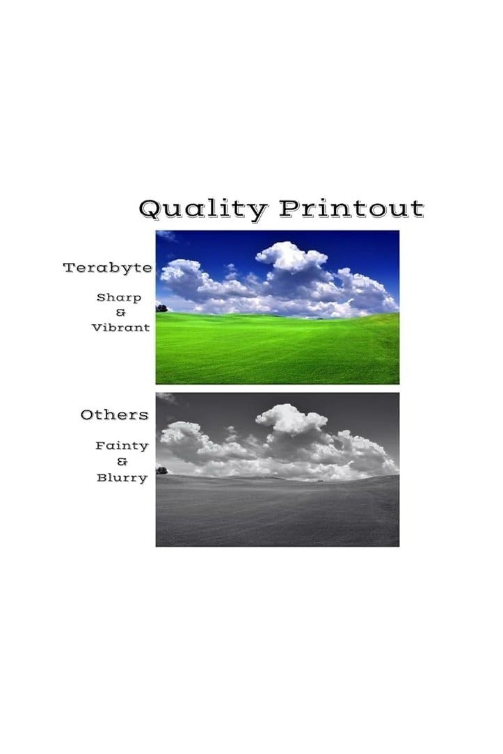 Terabyte خرطوشة حبر MLT D101S MLT-D101S 101S D101 متوافقة مع ML-2160 ML-2161 ML-2162 ML-2165 ML-2166 ML-2168 SCX-3400 SCX-3401 SCX-3405 SCX-3406 SF-760P SF-761P الطابعة - Image 3