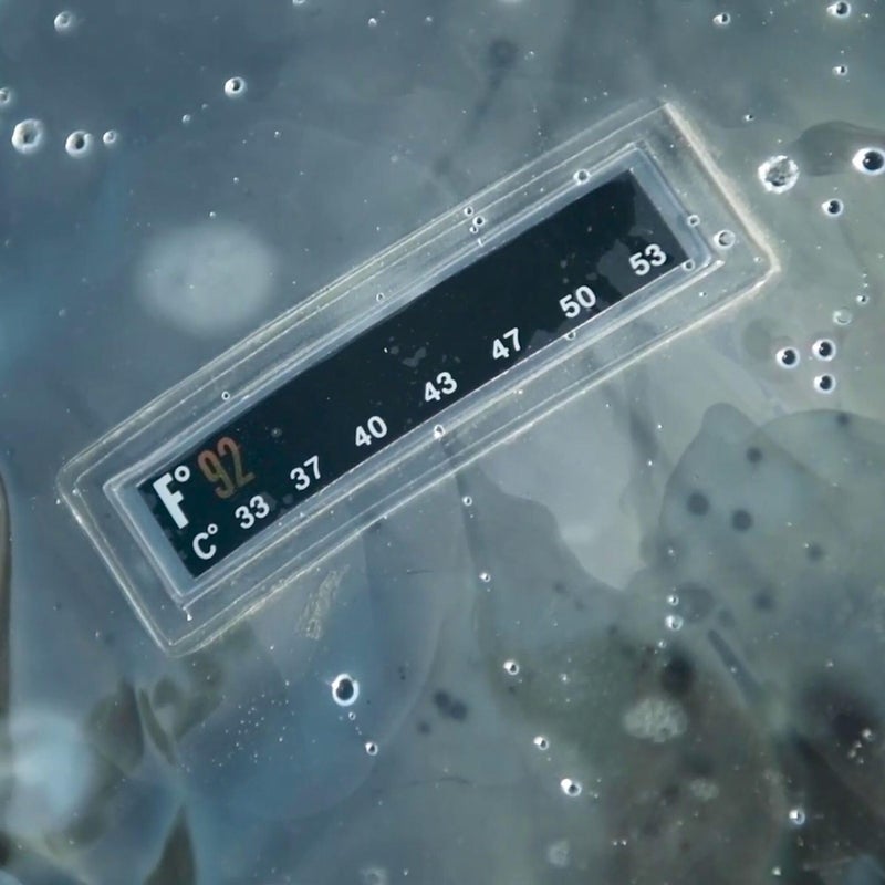 Advanced Elements 2.5 Gallon Summer Shower / Solar Shower,Silver - Image 2