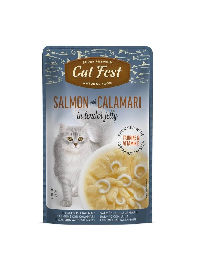 Cat Fest  - Tender Jelly For Cats 70g / Salmon with Calamari