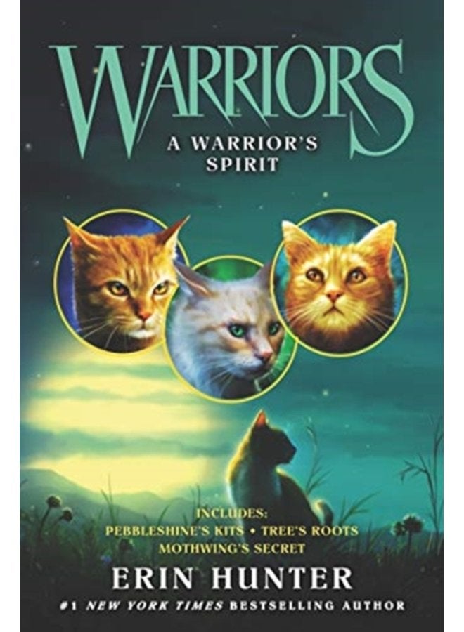Warriors A Warrior s Spirit - Paperback