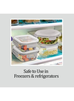 Treo by Milton Hi Borosilicate Clip Fresh Rectangular Container, 1000 ml, 1 Piece, Transparent (CGWFFGF081ASSR0018) (Glass) - pzsku/Z0FE03FE40DE32DC78EC2Z/45/_/1737721071/957b5646-aa4d-4794-9002-c0113530ea84