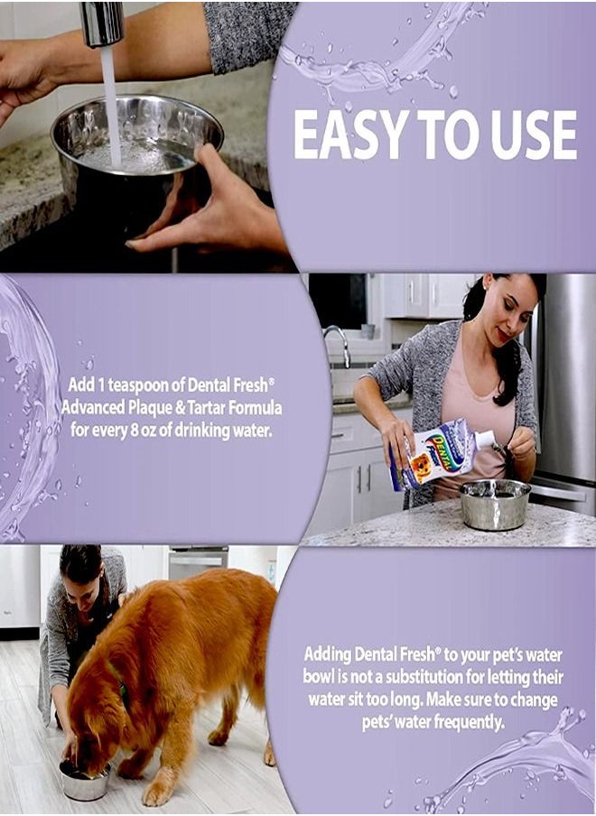 SYNERGYLAB - Dental Fresh Plaque And Tartar - 503ML - Image 1