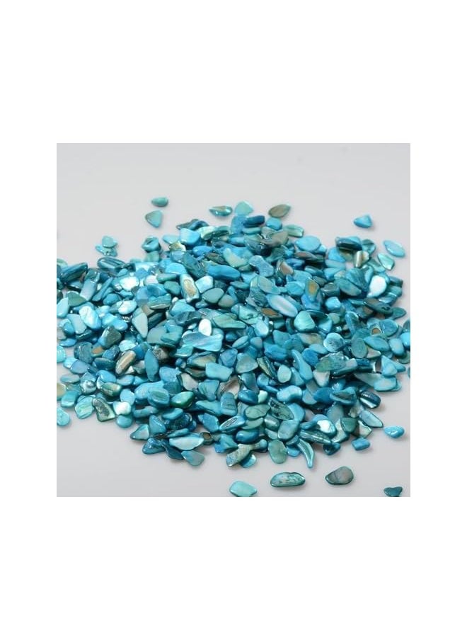 The Bros Crushed Shells Decoration for Crafts, Small Natural Crushed Shells Bulk for Crafts DIY Beaching Wedding Decoration Vase Fillers (500g, Light Blue)  - Image 2