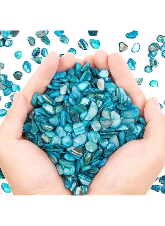 The Bros Crushed Shells Decoration for Crafts, Small Natural Crushed Shells Bulk for Crafts DIY Beaching Wedding Decoration Vase Fillers (500g, Light Blue)  - Image 1