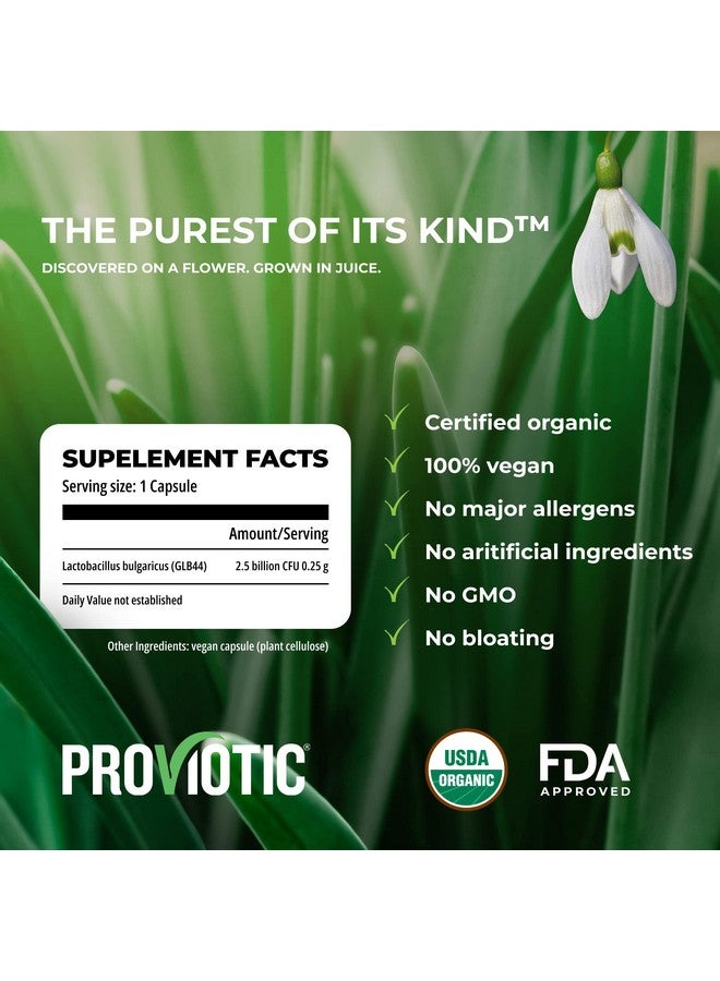 PROVIOTIC Organic Probiotic Lactobacillus Supplement With A Patented Formula Probiotics For Digestive Health Immune Support Vegan Probiotic Bio For Healthy Gut Anti Bloating For Men And Women - Image 3
