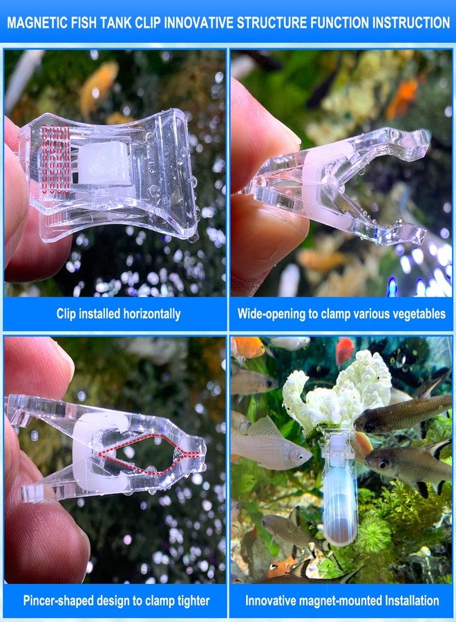 NestBasics Magnetic Aquarium Veggie Clip Plant Feeding nori Seaweed Clip for Saltwater Fish Aquarium Magnet Lettuce Food clamp Fish Accessories-Patented Product (2pcs Magnetic Veggie Clip) - Image 3