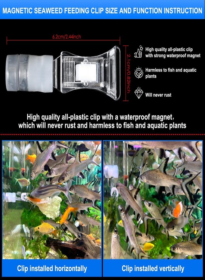 NestBasics Magnetic Aquarium Veggie Clip Plant Feeding nori Seaweed Clip for Saltwater Fish Aquarium Magnet Lettuce Food clamp Fish Accessories-Patented Product (2pcs Magnetic Veggie Clip) - Image 2