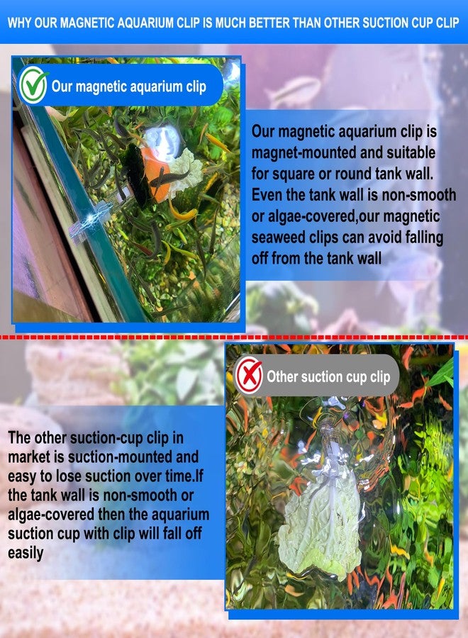 NestBasics Magnetic Aquarium Veggie Clip Plant Feeding nori Seaweed Clip for Saltwater Fish Aquarium Magnet Lettuce Food clamp Fish Accessories-Patented Product (2pcs Magnetic Veggie Clip) - Image 4