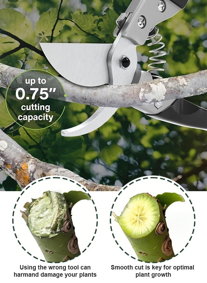 أوبتيا مجموعة أدوات قص الحديقة الكاملة المكونة من 5 قطع مع مقصات تقليم ومقصات ساوي قابلة للطي، مقصات تقليم من الفولاذ المقاوم للصدأ للزهور والأعشاب والفروع الصغيرة - مجموعة أدوات البستنة المريحة - Image 4