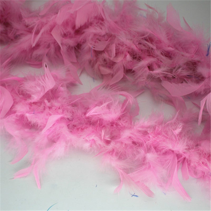 Generic Costume  Stage Decor Turkey Feathers Pink 