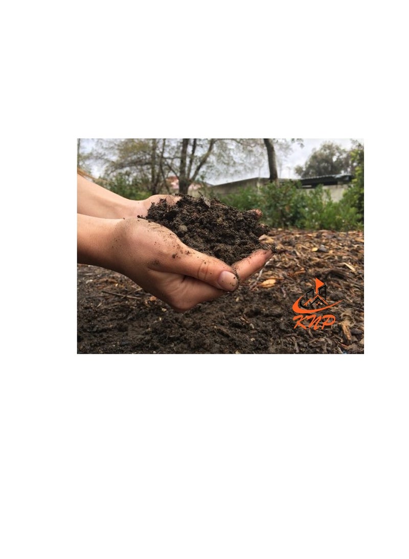 KNP Giant Fruit 100% organic general stimulant Fertilizer 1Kg - Image 1