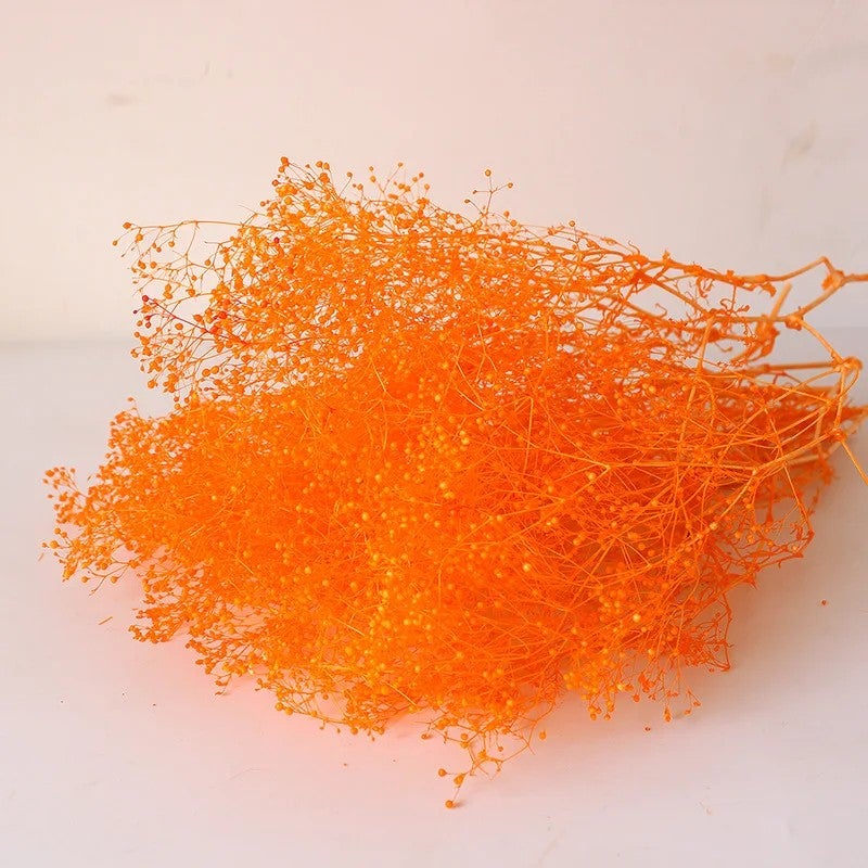 Bluejw Million Star Baby's Breath Dried Flower Bouquet - Real Full Grain Eternal Flowers for Mother's Day Christmas Gifts & Home Decor - Image 1