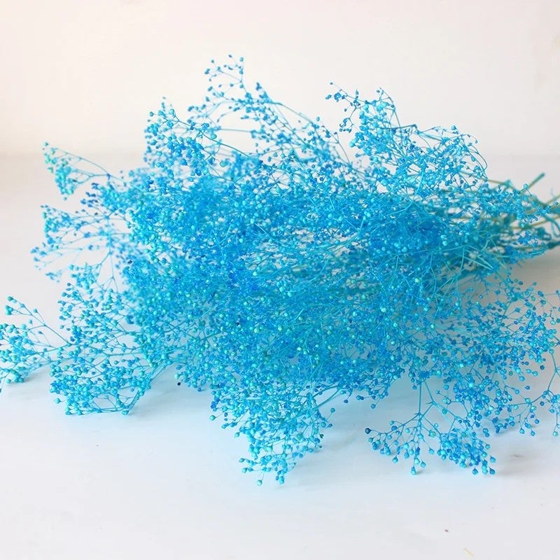 Bluejw Million Star Baby's Breath Dried Flower Bouquet - Real Full Grain Eternal Flowers for Mother's Day Christmas Gifts & Home Decor - Image 3
