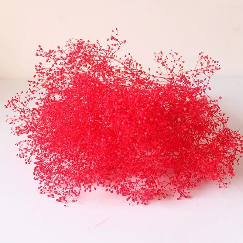 Bluejw Million Star Baby's Breath Dried Flower Bouquet - Real Full Grain Eternal Flowers for Mother's Day Christmas Gifts & Home Decor - Image 5
