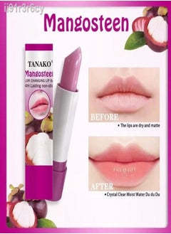 Mangoosteen Color Changing Lip Balm 1Pcs - pzsku/Z0FE690170AF6F14BC9CBZ/45/_/1723455012/d08965cd-9be3-4b15-a9d2-e4e0c6376ca6