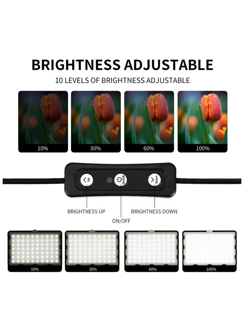 Bukela 2 Pack Photography Video Lighting Kit LED Studio Streaming Lights 70 Beads Color Filter for Camera Photo Desktop Computer Conference Game Stream Portrait Shooting - Image 2