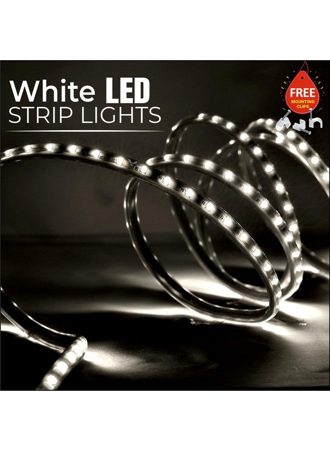 Errol led Strip Lights Waterproof led Rope Light Energy Saving Strip Lights for Room | led Strip Light for False Ceiling | Home Decor Lights | Home Decoration | Diwali | Christmas(5 Meter,White) - Image 2