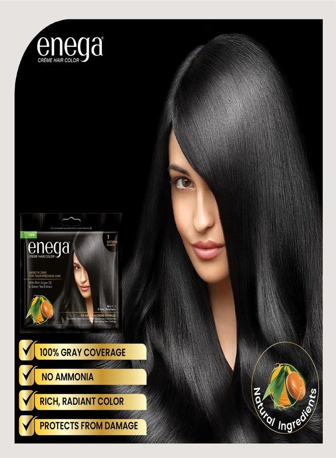 Enega No Ammonia Grey Coverage Long Lasting Creme Hair Color with Argan Oil & Green Tea Extract (Pack of 10, NATURAL BLACK) - Image 2