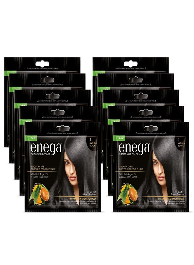 Enega No Ammonia Grey Coverage Long Lasting Creme Hair Color with Argan Oil & Green Tea Extract (Pack of 10, NATURAL BLACK) - Image 1