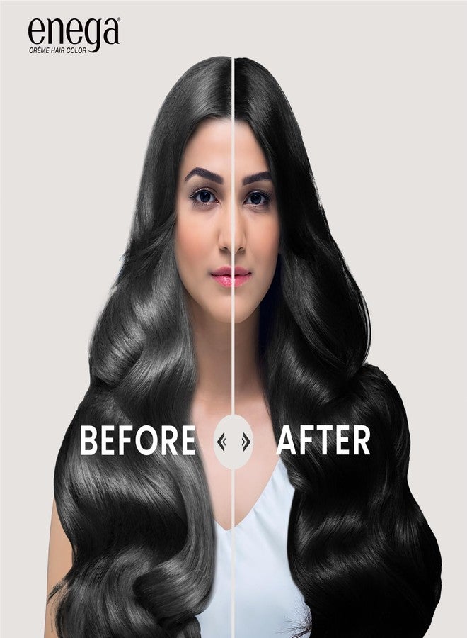 Enega No Ammonia Grey Coverage Long Lasting Creme Hair Color with Argan Oil & Green Tea Extract (Pack of 10, NATURAL BLACK) - Image 5
