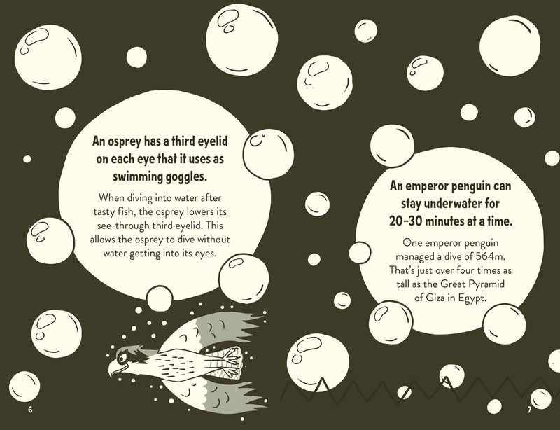 Amazing Facts Every 10 Year Old Needs to Know - Image 2