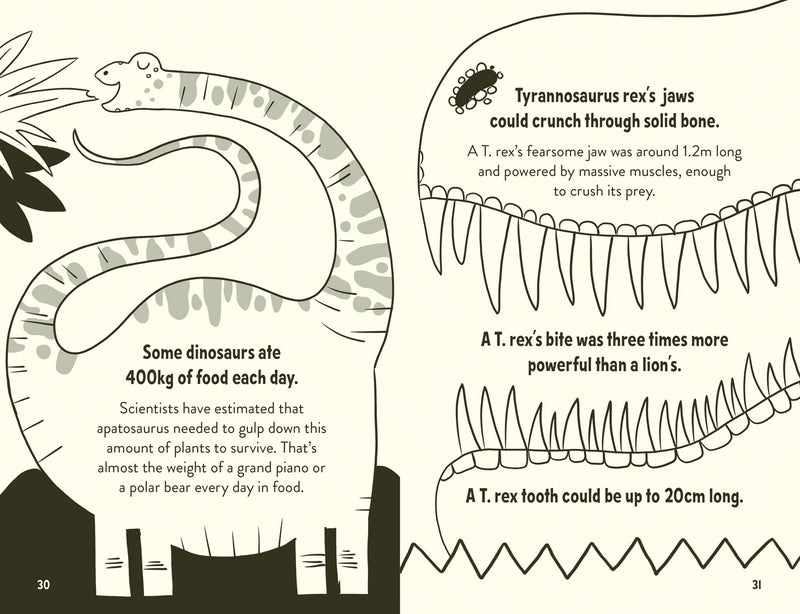 Amazing Facts Every 10 Year Old Needs to Know - Image 3