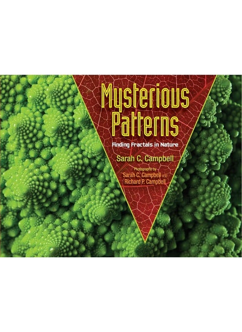 Mysterious Patterns: Finding Fractals in Nature
