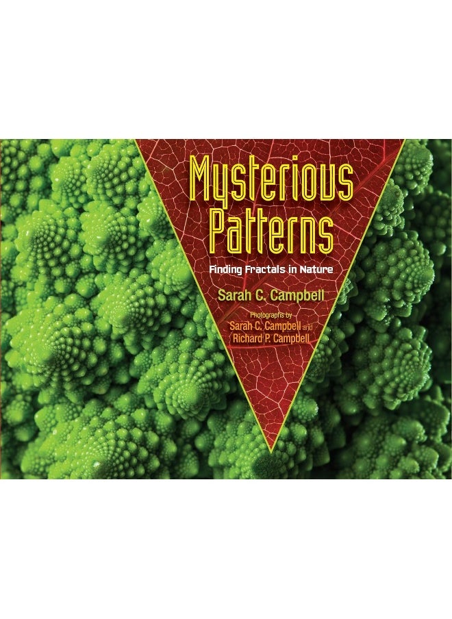 Mysterious Patterns: Finding Fractals in Nature  - Image 2