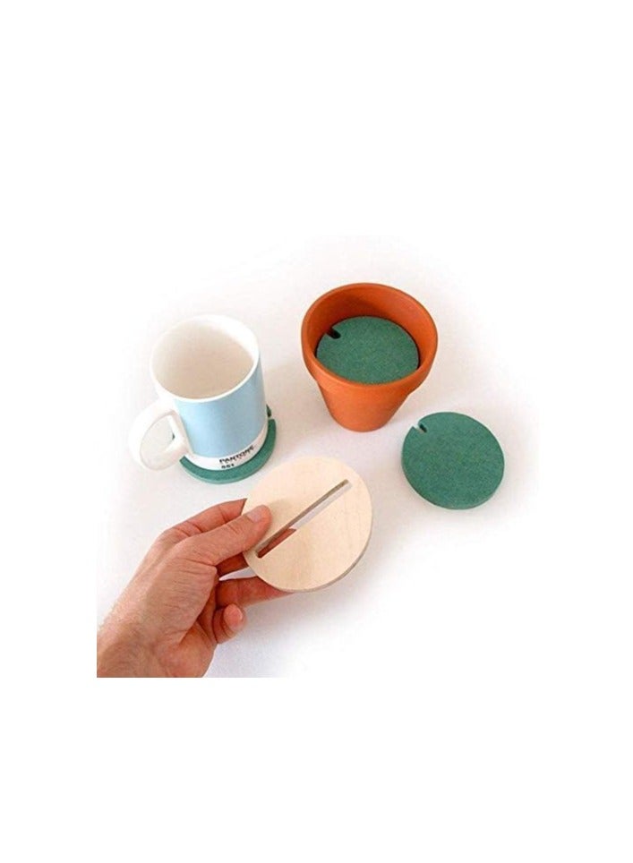 دوبكارت كوستر DIY الوقايات بوعاء الصبار - Image 3