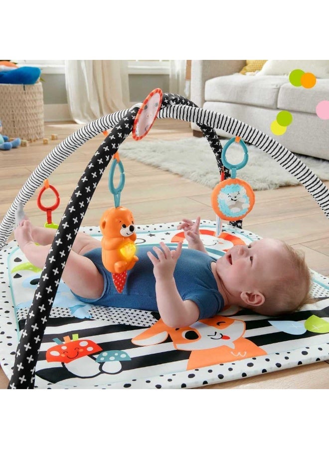 Fisher-Price 3في1 تألق ونمو صالة رياضية - Image 2