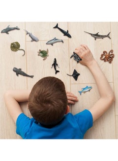 Civaner 20 Pack Realistic Shark Toys Ocean Animals Toys With Mesh Bag Assorted Sea Animal Toys Including Shark Whale Dolphin Bath Toys For Ocean Life Party Decor Party Favors For Daughter And Son  - Image 5