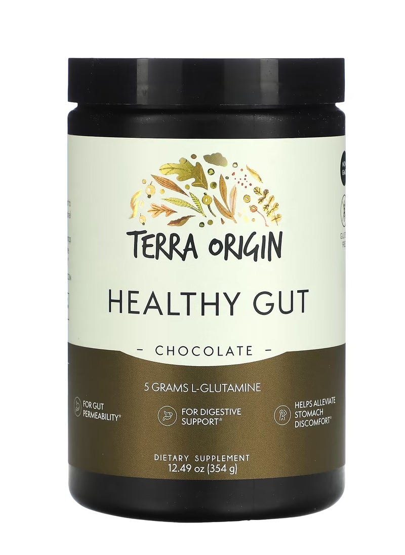 Terra Origin Healthy Gut, Chocolate, 12.49 oz (354 g)