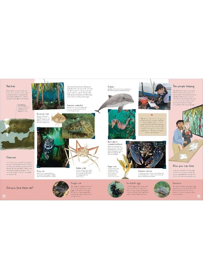 The World's Wildest Waters: Protecting Life in Seas, Rivers, and Lakes