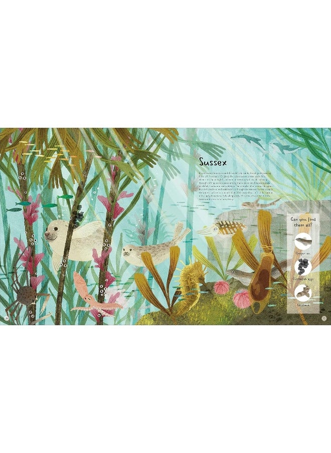 The World's Wildest Waters: Protecting Life in Seas, Rivers, and Lakes