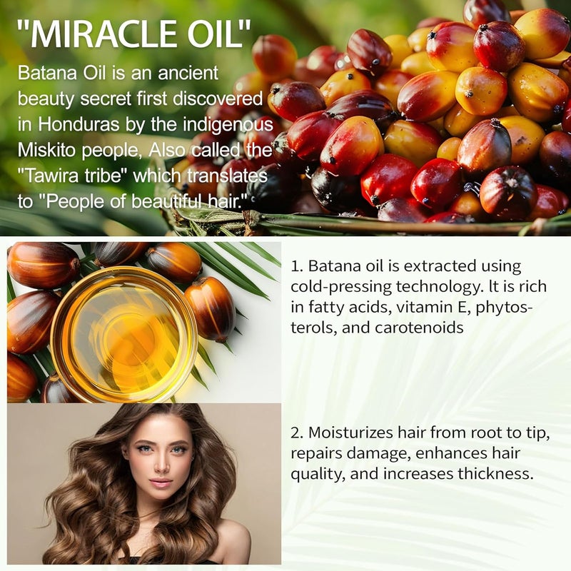 Bieyoc Batana Oil for Hair, Natural Batana Oil Organic Cold Press, Hair Oil for Men & Women 120G - Image 3