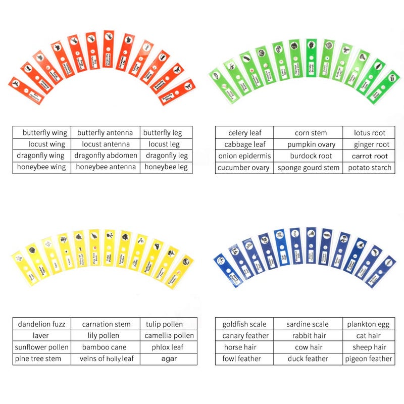 DIY-SCIENCE 48 Prepared Microscope Slides Set of Animals Insects Plants Flowers, Biological Learning Resource Specimens for Kids Beginner Classroom Basic Science Education - Image 3