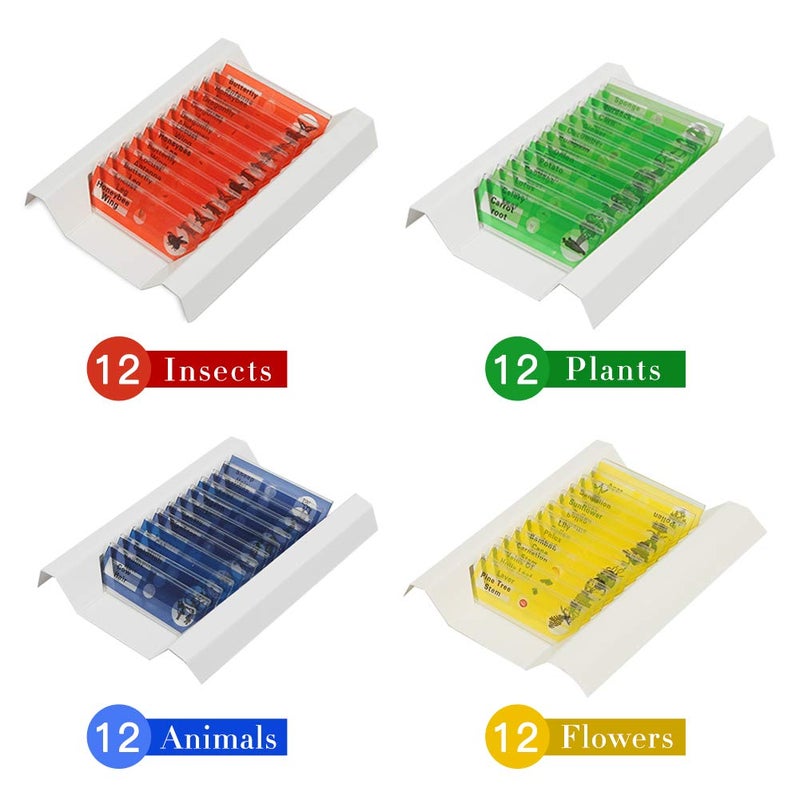 DIY-SCIENCE 48 Prepared Microscope Slides Set of Animals Insects Plants Flowers, Biological Learning Resource Specimens for Kids Beginner Classroom Basic Science Education - Image 2
