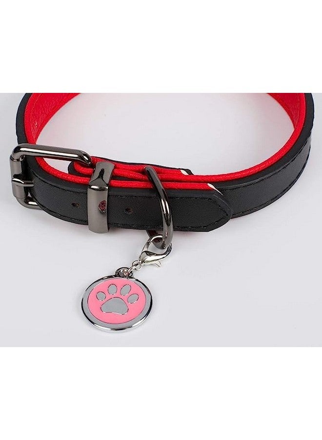 قلادة هوية للحيوانات الأليفة بتصميم مخلب جميل من سبيكة معدنية مخصصة لرقبة الكلاب/القطط، هدية مثالية لحيواناتك الأليفة - اللون حسب التوافر (عبوة من قطعة واحدة) - Image 4