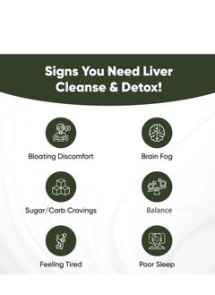 Wins Town Liver Cleanse & Detox Supports 11 Ingredient Blend Milk Thistle, Dandelion, Turmeric, Ginger Extract, Beet, Zinc, Vitamin E, Grape Seed 70 CAPS  - Image 3