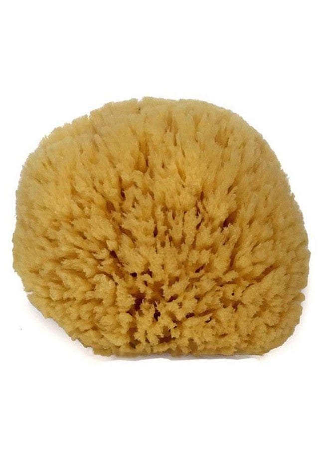 سبا ديستينايشنز إسفنجة بحرية طبيعية مقاس 67 بوصة من شركة Spa Destinations "إنشاء تجربة سبا منزلية" - Image 3