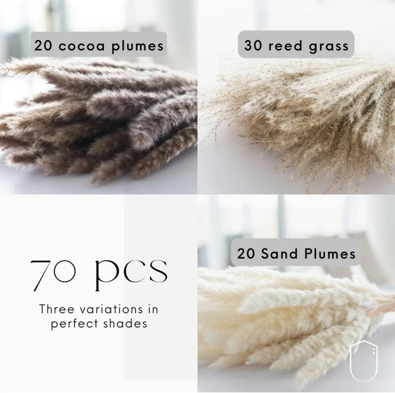 Y&D Fluffy Pampas Grass Decor - Boho Wedding Home Decoration with Natural Dried Small Pampas & Dried Plants - Image 1