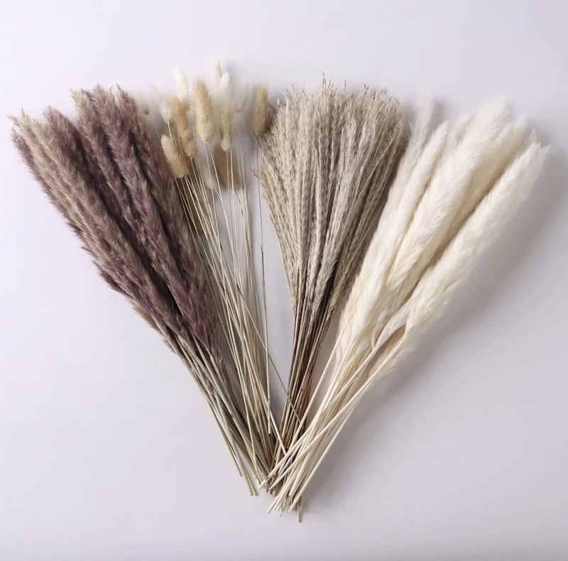 Y&D Fluffy Pampas Grass Decor - Boho Wedding Home Decoration with Natural Dried Small Pampas & Dried Plants - Image 3