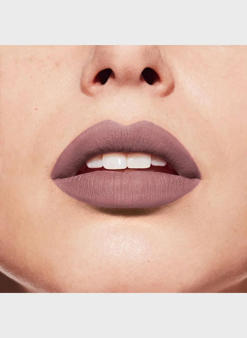 BOURJOIS PARIS Rouge Velvet The Lipstick - 17 - From Paris With Mauve, 2.4G